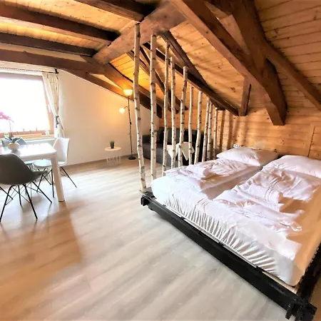 Top-uriges Mitten Im Bayerwald +netflix Apartment Perlesreut