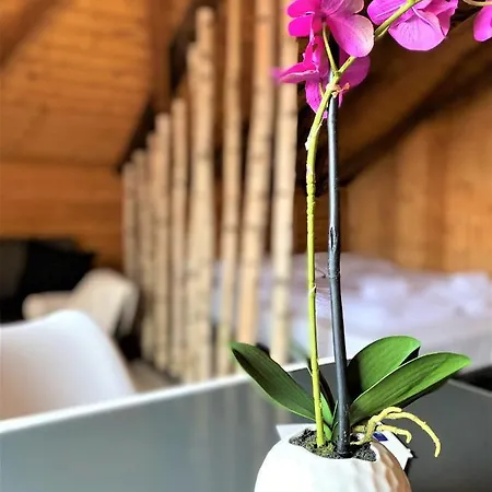 Apartment Top-uriges Mitten Im Bayerwald +netflix *
